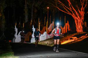 BIB: 
                            <button type="button" onclick="openModal(22511487)" class="btn btn-primary btn-sm float-right btn-popup" data-toggle="modal" data-target=".modal-high-quality">
                        <i class="fas fa-shopping-cart"></i> Add to Cart
                    </button>
                                            <button type="button" onclick="isThisMe(22511487, true)" class="btn btn-success btn-sm float-right btn-popup btn-isme hidden" data-toggle="tooltip" data-placement="bottom" title="นี่คือรูปของคุณใช่ไหม คลิกที่นี่เพื่อเอาเข้าอัลบั้ม">
                        <i class="fas fa-plus"></i> Add to album
                    </button>
                    <button type="button" onclick="isThisMe(22511487, false)" class="btn btn-warning btn-sm float-right btn-popup btn-isnotme hidden">
                        <i class="fas fa-ban"></i> Remove from album
                    </button>